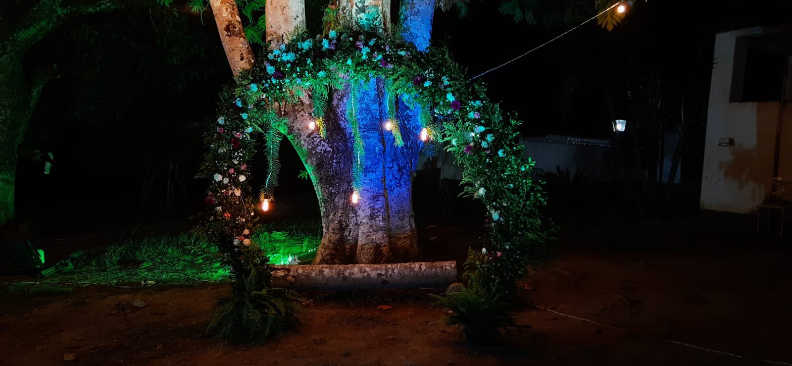 Formatura Universitária